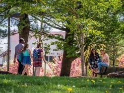 Photo of students walking and sitting on campus on a spring day.